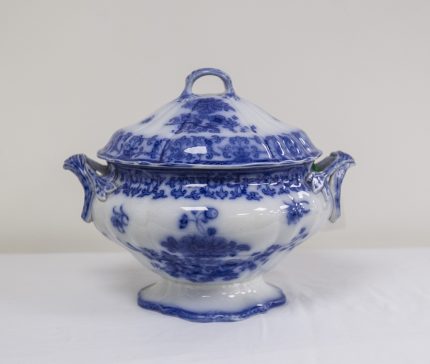 Veebees 12 10 2022 (15)