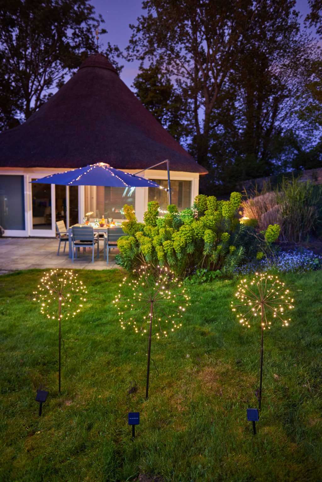 Outdoor Dandelion 45cm Led Light