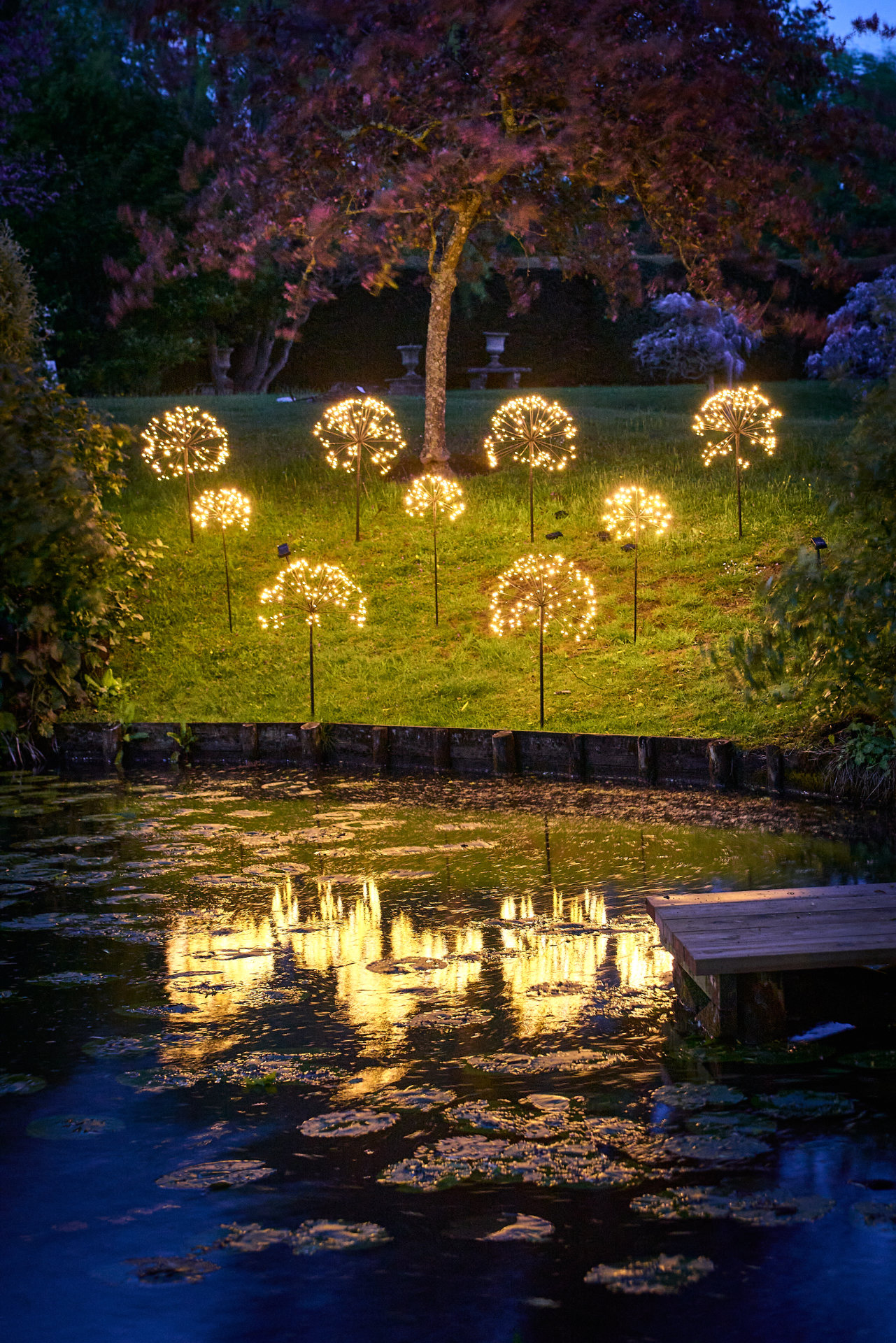 Dandelions 0234 1 Dandelions 0234 1