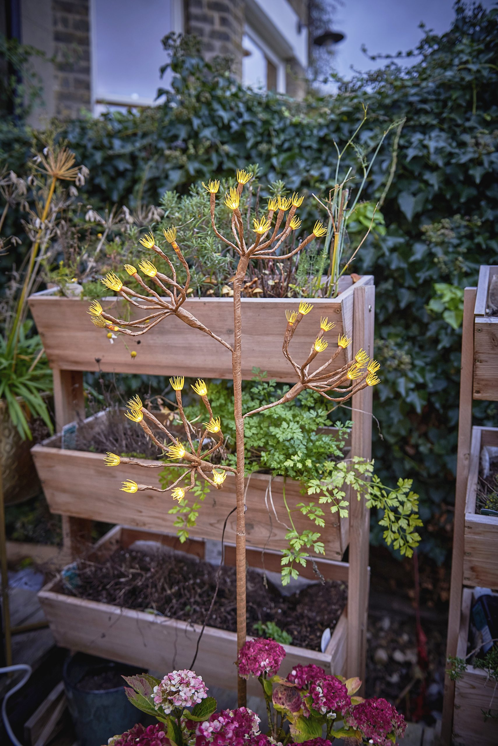 Solar Wild Fennel Branch 8294 Solar Wild Fennel Branch 8294
