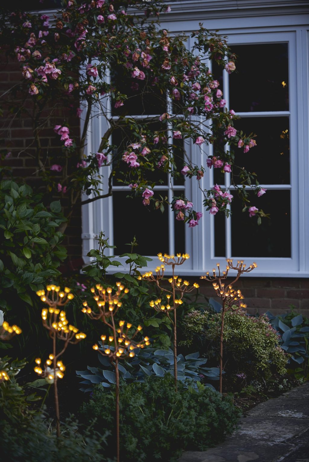 Wild Fennel Multi Branch Led Light