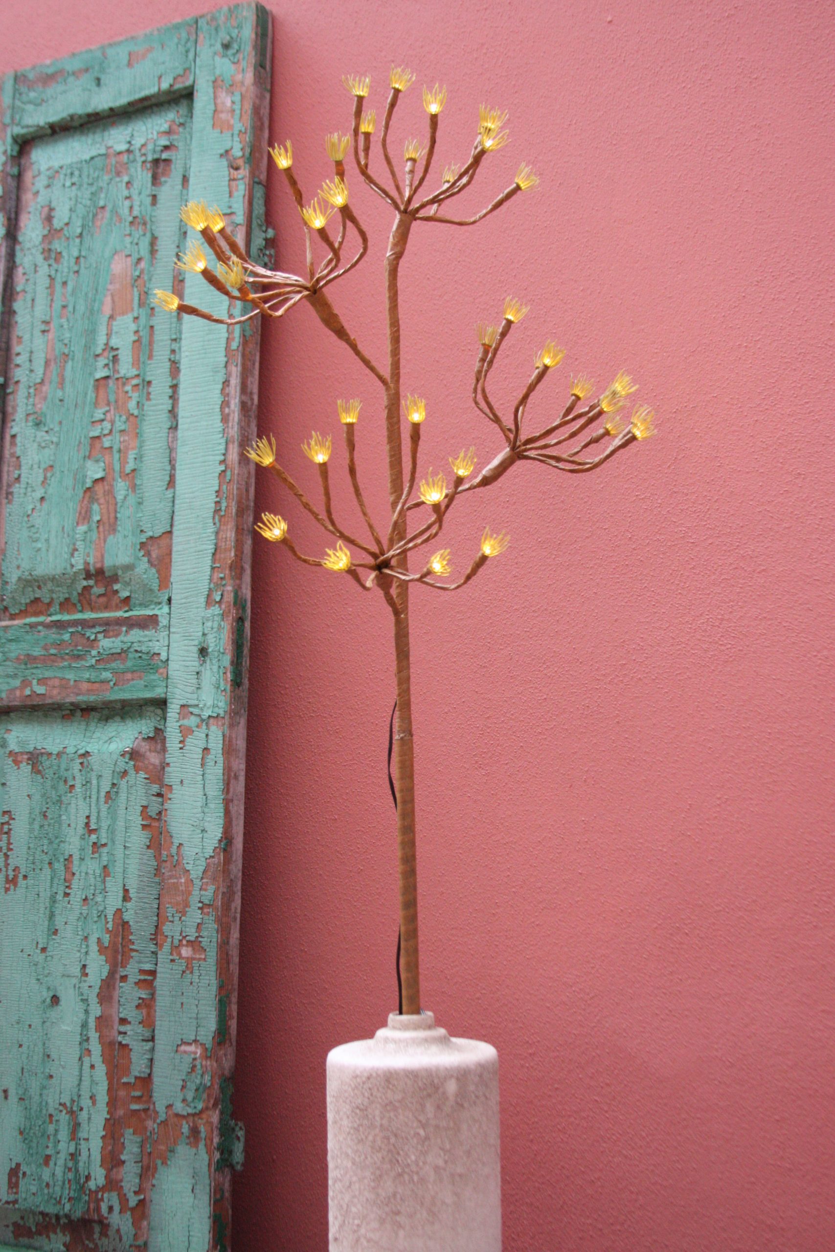 Solar Wild Fennel Branch_4 Solar Wild Fennel Branch_4