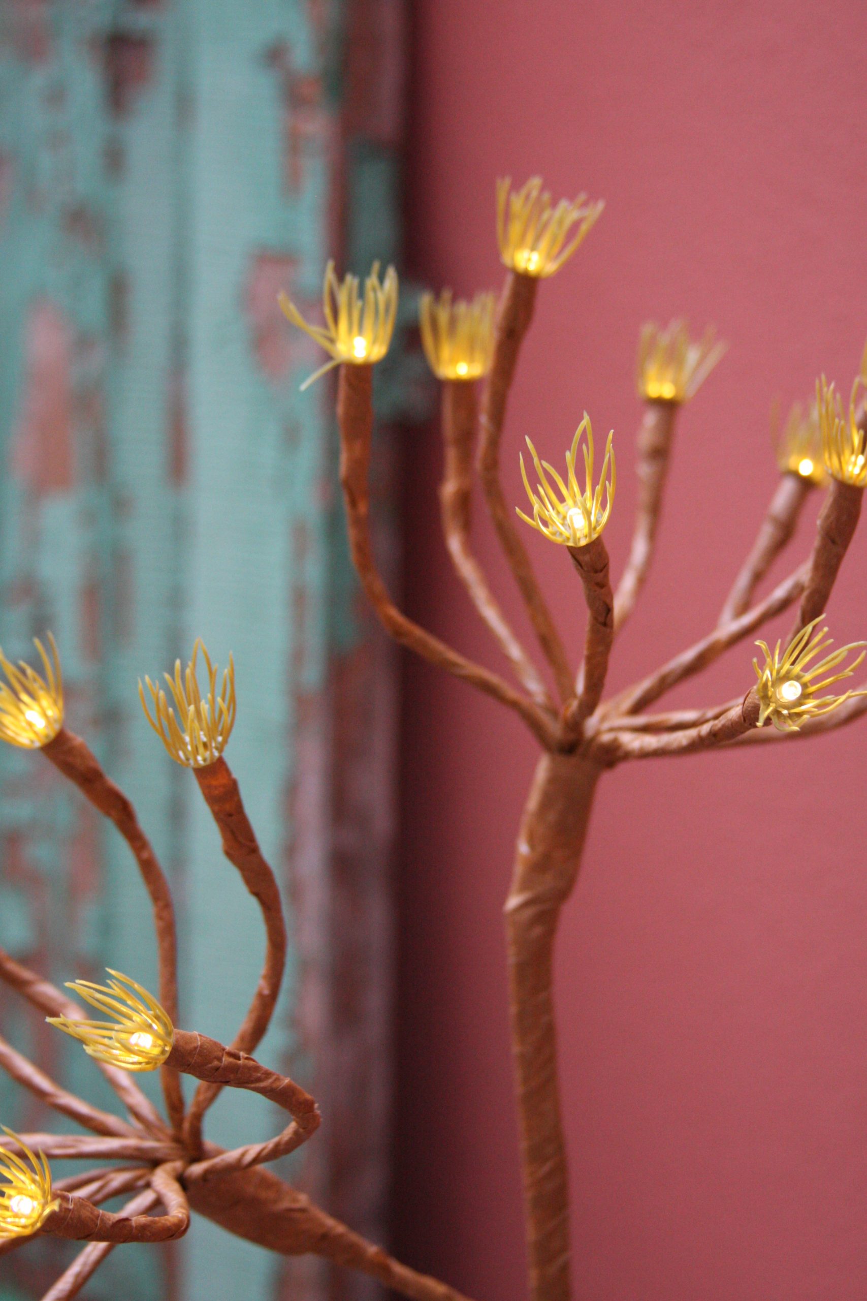Solar Wild Fennel Branch_6 Solar Wild Fennel Branch_6