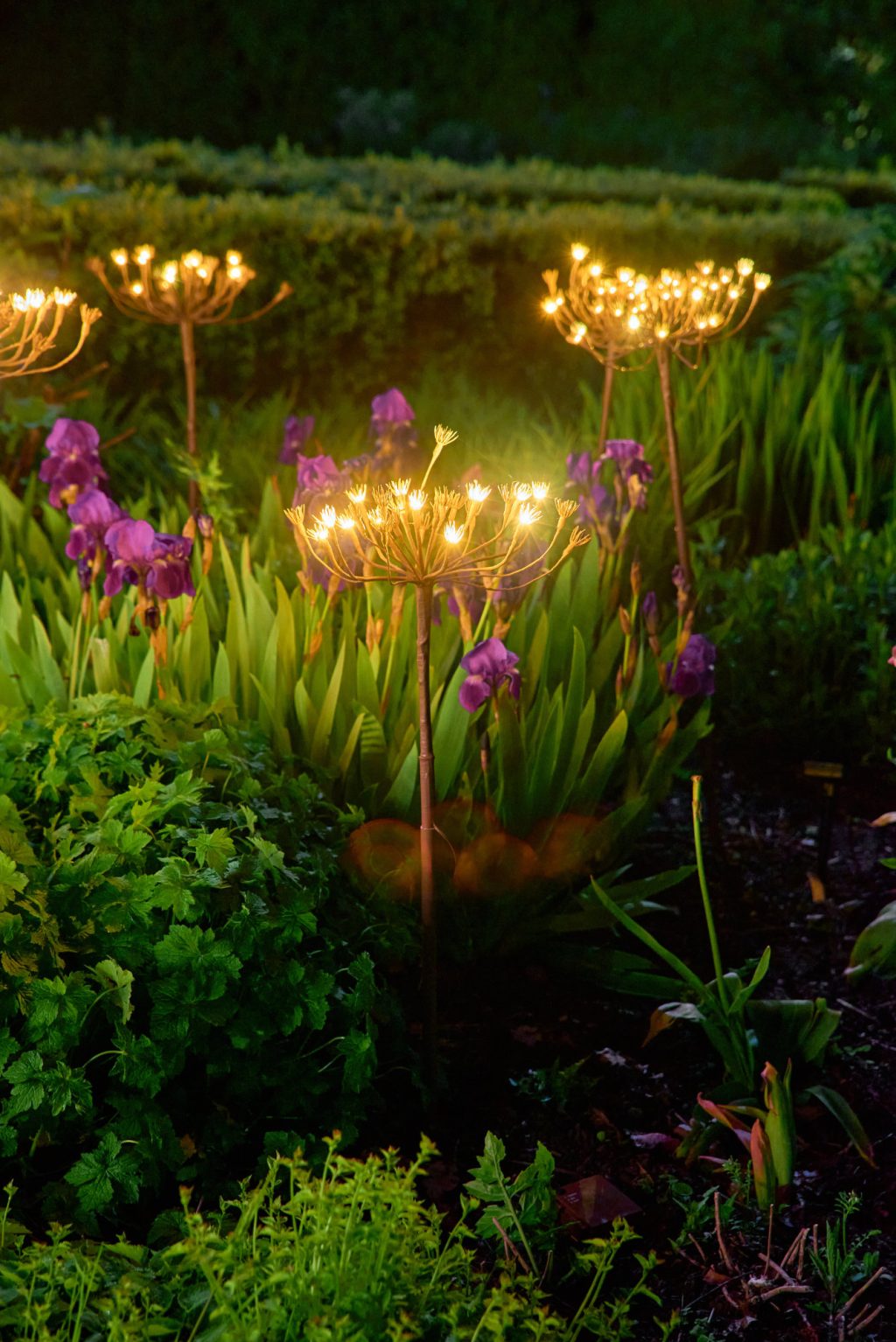 Wild Fennel Single Stem Led Light