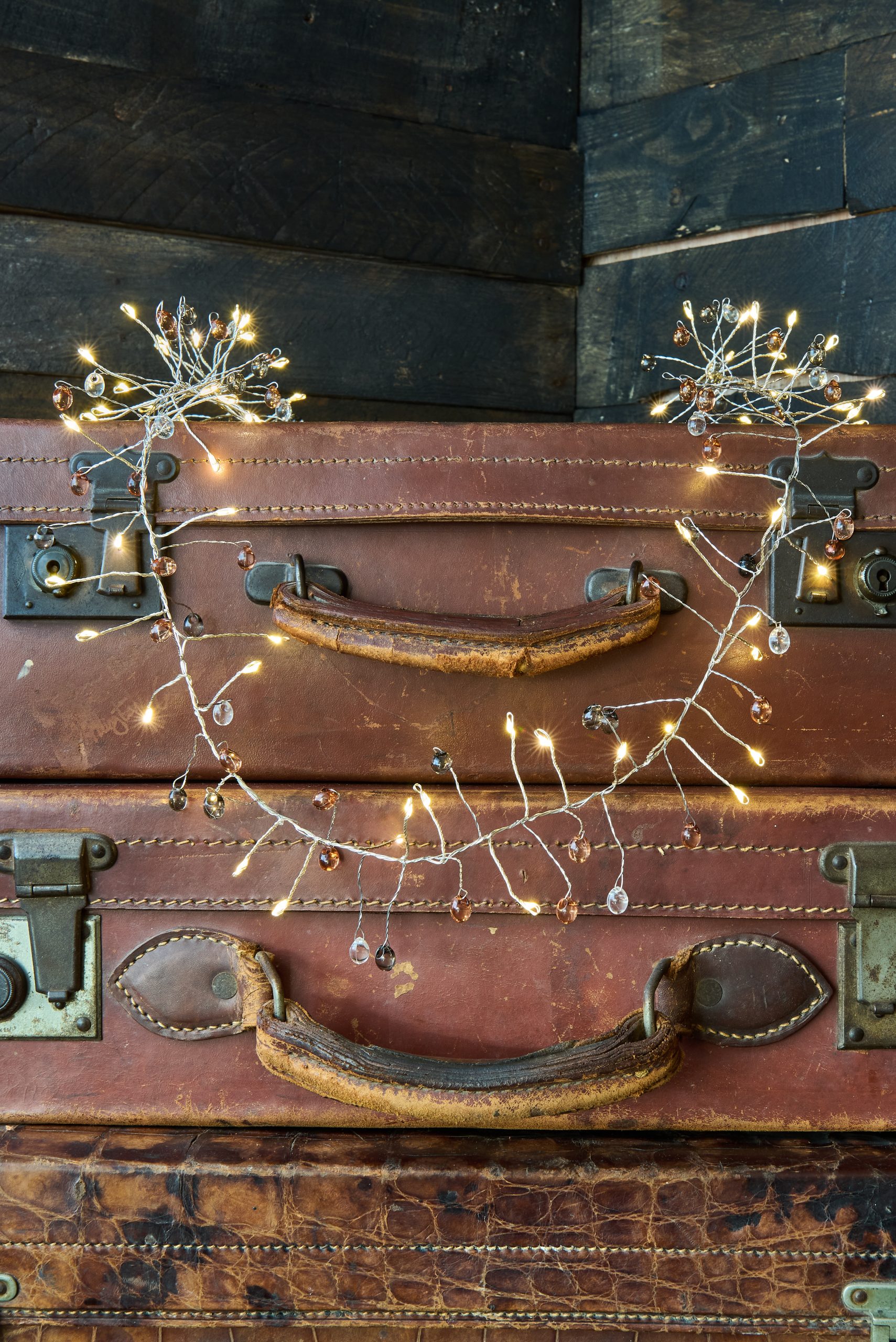 Cluster Coco_0120 (1) Cluster Coco_0120 (1)