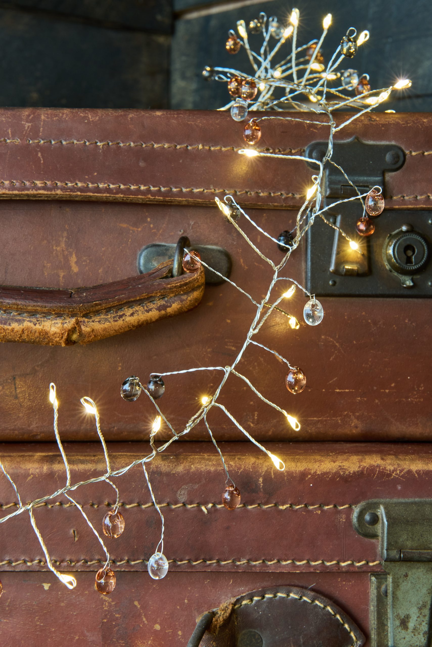 Cluster Coco_0121 Cluster Coco_0121