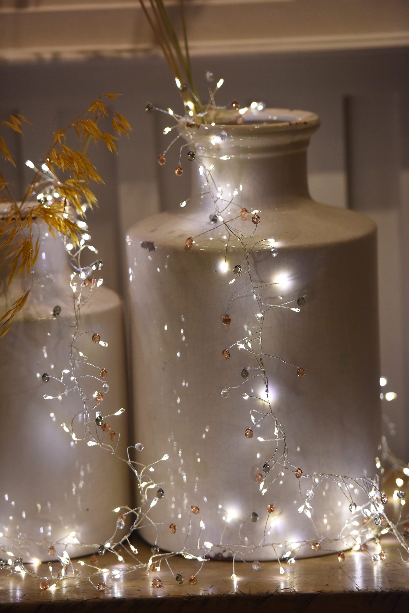 Cluster_Coco_3912 Cluster_Coco_3912