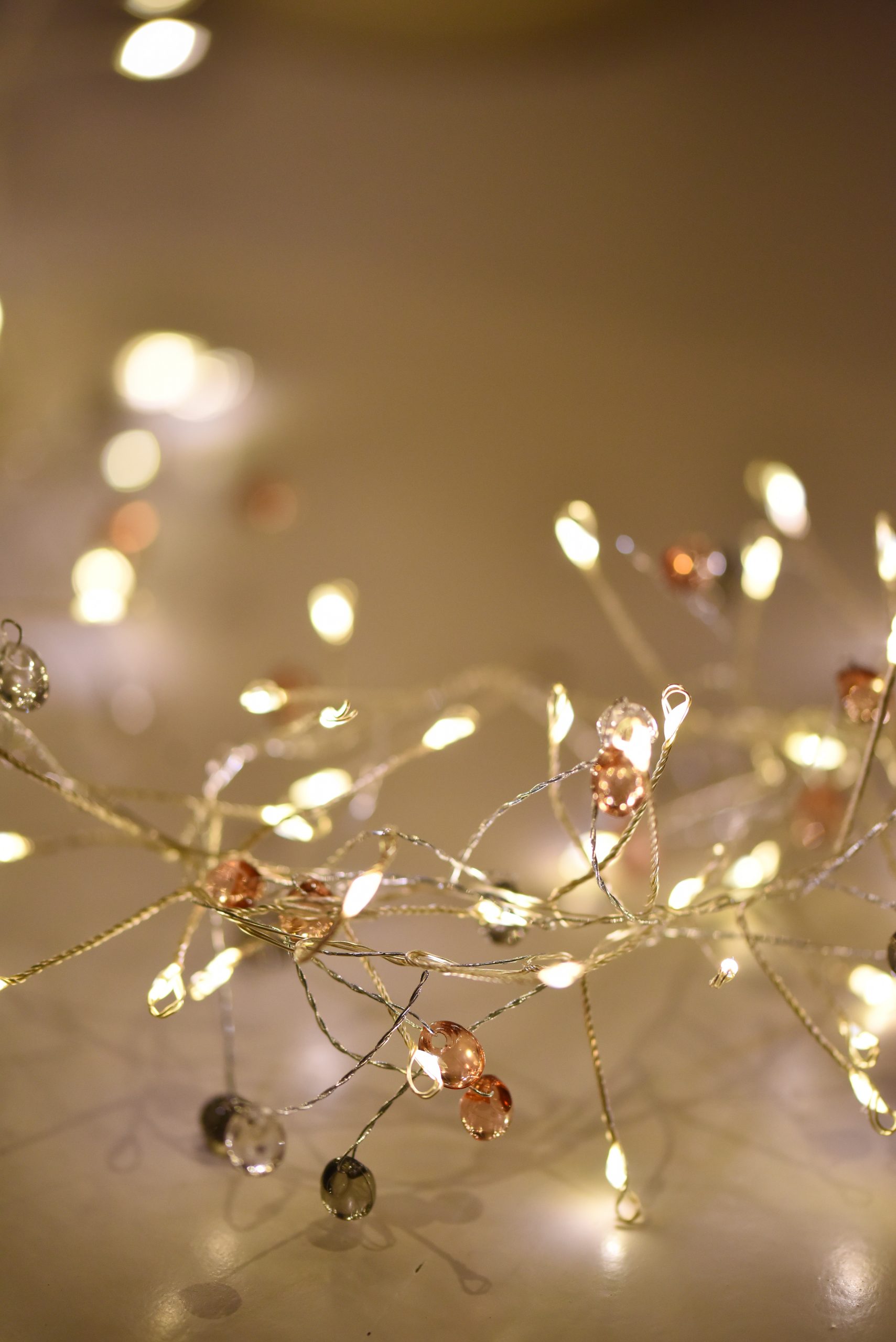 Cluster_Coco_3926 Cluster_Coco_3926