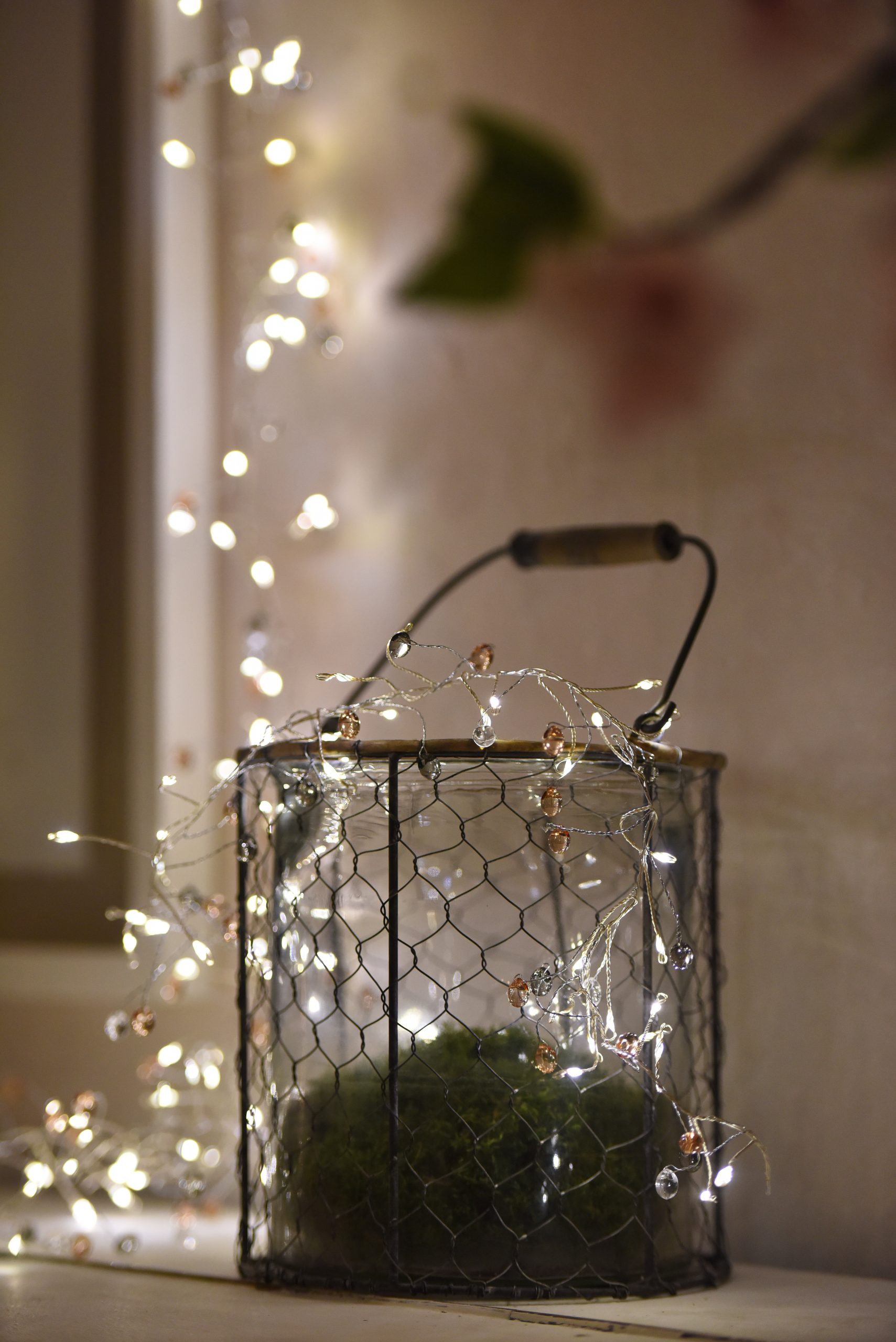 Cluster_Coco_3985 (1) Cluster_Coco_3985 (1)