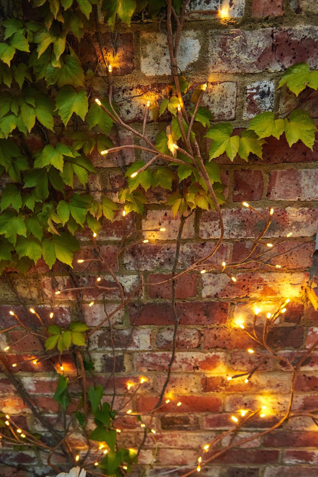 Solar Ivy Brown Garland