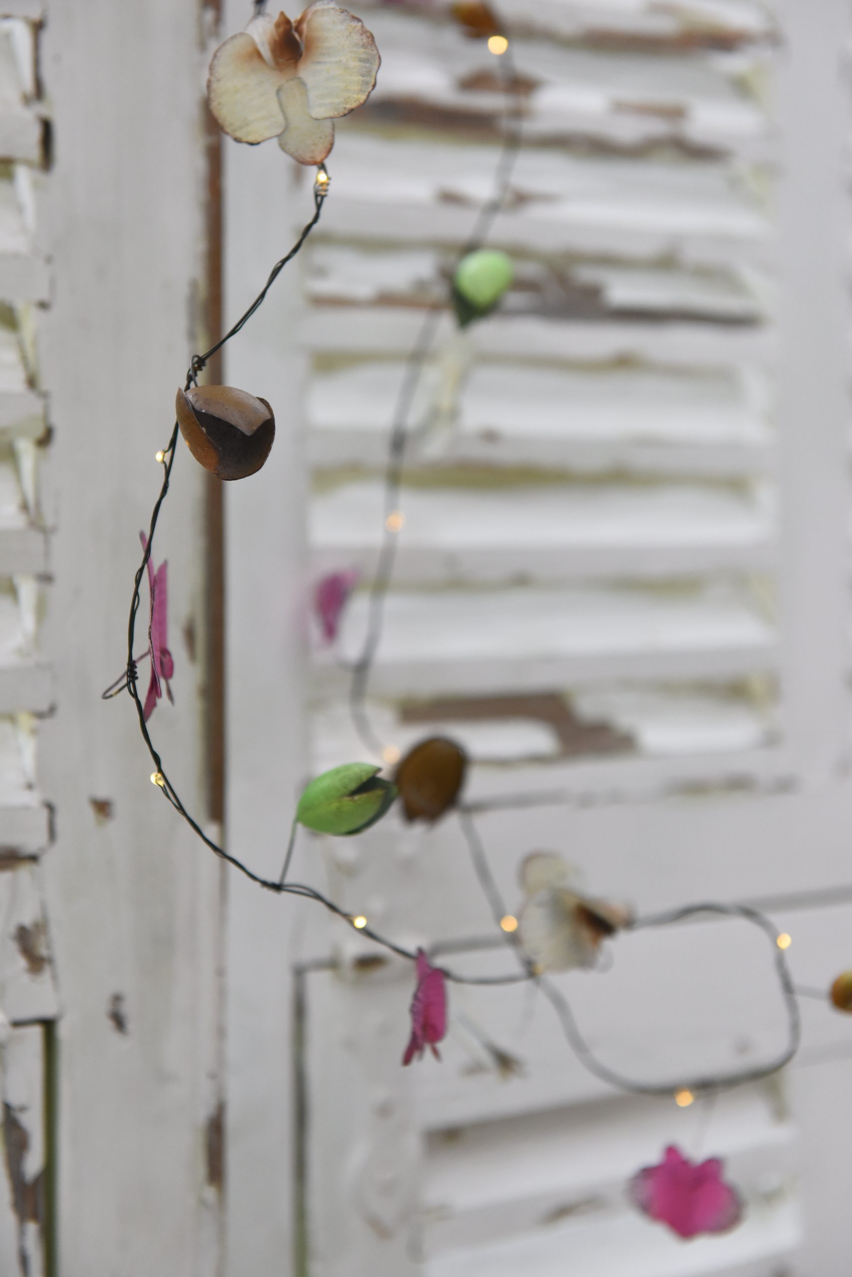 Orchid_3328 Orchid_3328