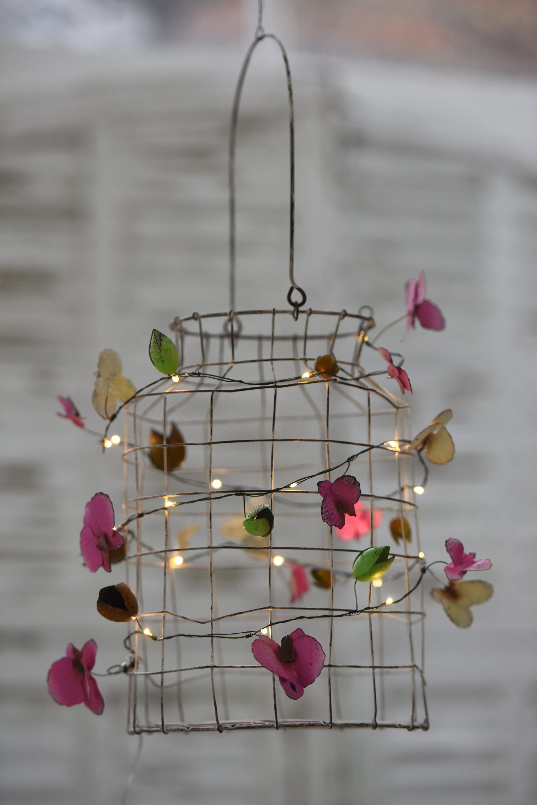 Orchid_3336 Orchid_3336