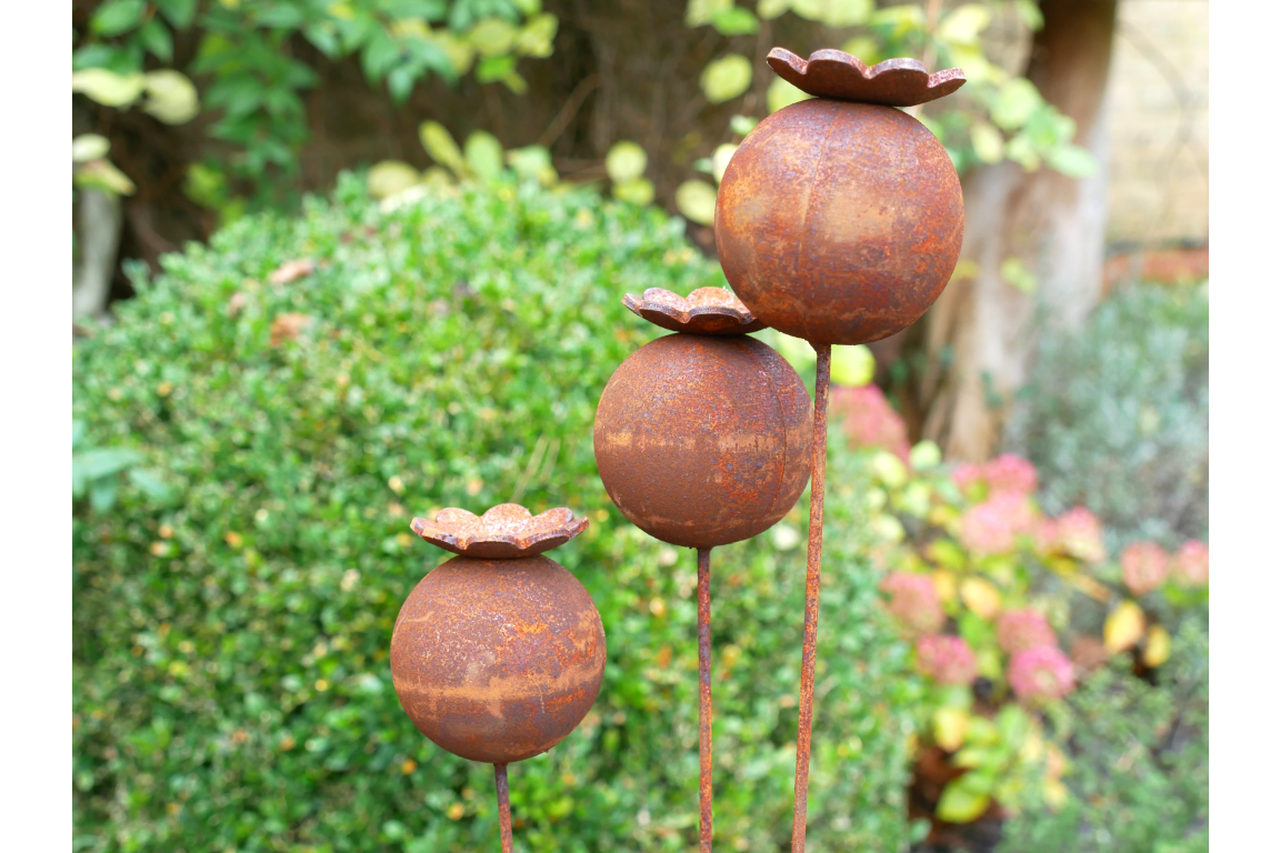 Photo 15-05-2025, 00 24 06 (9) (1) Photo 15-05-2025, 00 24 06 (9) (1)